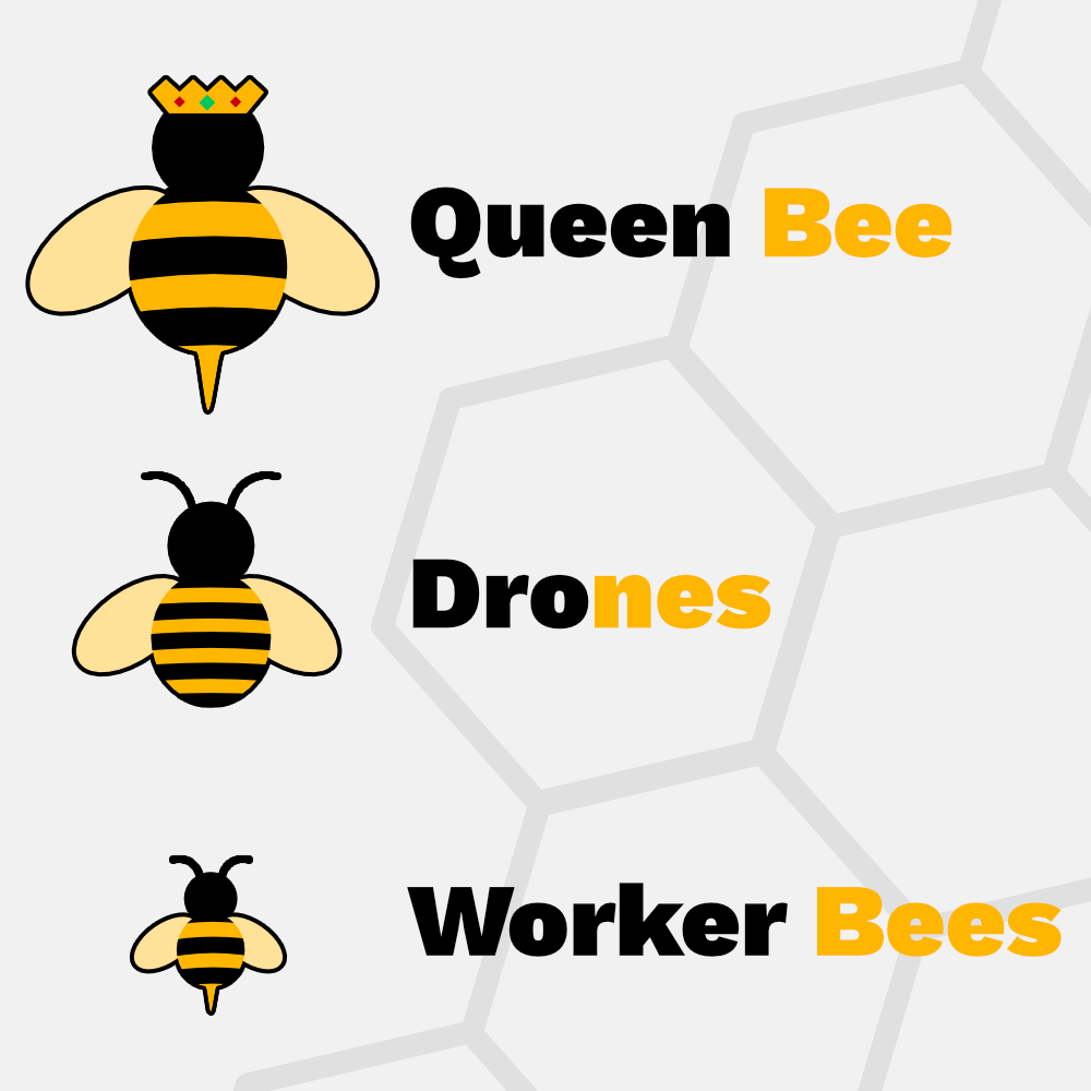 Bee is here