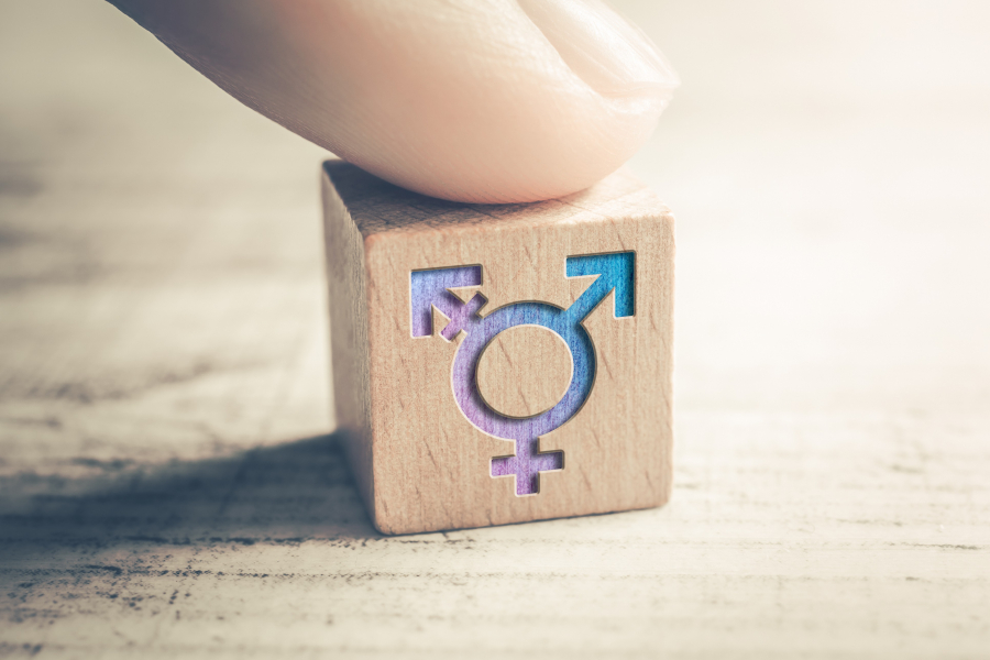 Sex, Gender and the Equality Act