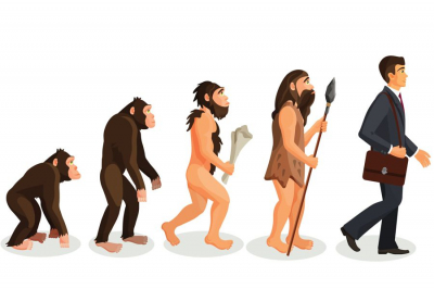 The Theory of Business Evolution