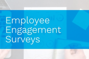 Employee Engagement Surveys